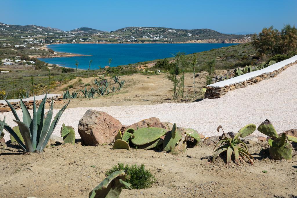 Natura Villas Paros Mólosz Páru Kültér fotó